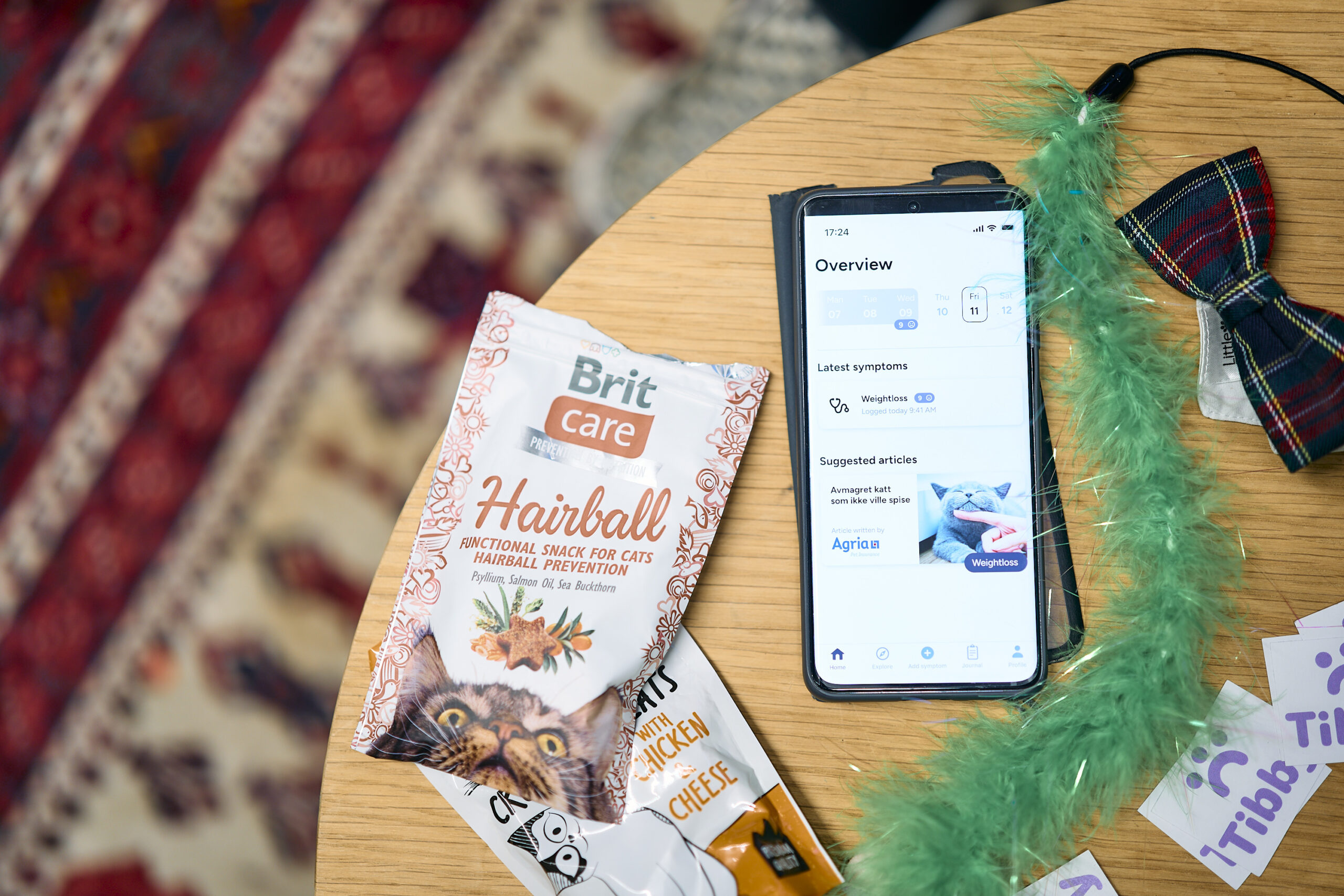 The Tibby app is shown on a mobile, among cat toys and cat food on a table.