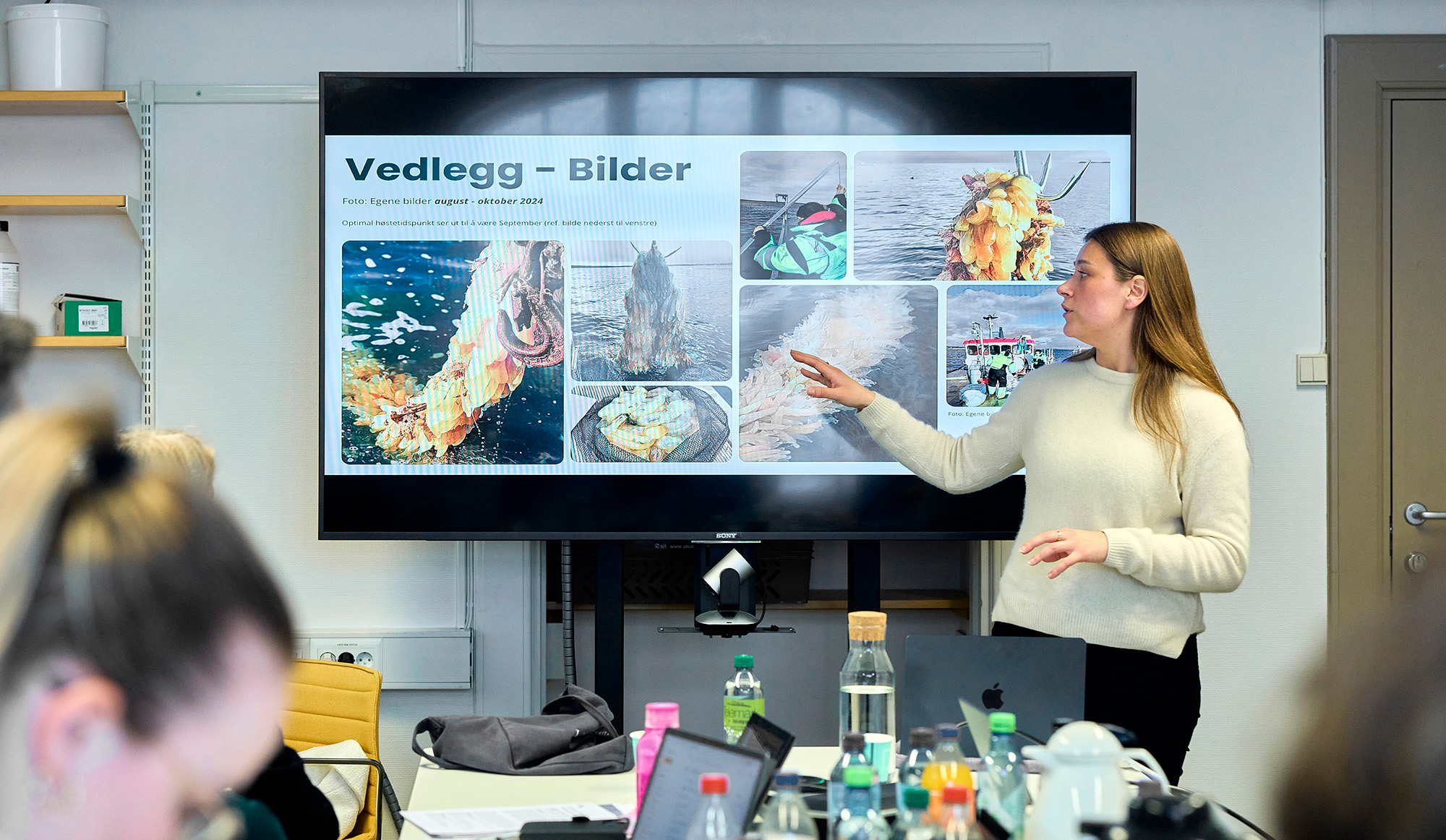 NTNU_DSC9408_mindre